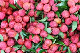 lichi_ rent a car in Bangladesh